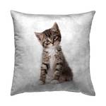 Coussin décoratif Katze Multicolore - Fibres naturelles - 40 x 40 x 40 cm