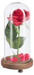 Ewige Rose im Glas Braun - Grün - Rot - Holzwerkstoff - Glas - Kunststoff - 11 x 23 x 11 cm