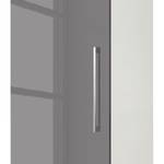 Armoire à portes battantes KSW I Gris lave brillant - Largeur : 45 cm - 1 porte