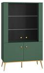 Vitrine FORT SC92 4D Vert - Bois manufacturé - Matière plastique - 92 x 152 x 40 cm