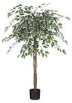 Kunstpflanze Ficus Grün, bunt (H150 x Ø50 cm)