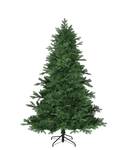 Weihnachtsbaum Brampton
