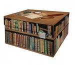 Speicherbox Books 2er Set Braun - Holzwerkstoff - Naturfaser - 24 x 17 x 33 cm