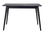 Pegasus 120 Holz-Tisch Eszimmertisch Schwarz