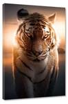 Leinwandbild Majestic Tiger 30 x 45 cm