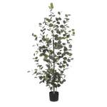 Plante artificielle Eucalyptus Vert - Métal - Matière plastique - Textile - 30 x 150 x 30 cm
