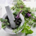 Print achter glas Herbs Mood II print achter glas