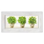 Afbeelding achter glas Kruidentuin Groen - Meerkleurig - Massief hout - 100 x 50 x 2.1 cm