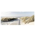 Print achter glas Riet en strand 80x30cm Beige - Blauw - Groen - Glas - 80 x 30 x 0.5 cm