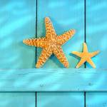 Glasbild Starfish Türkis - Gelb - Glas - 20 x 20 x 0.5 cm