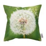 Housse de coussin Blowball Coton - Vert