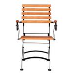 Chaises Schlossgarten I (lot de 2) Lot de 2- Acier plat / Eucalyptus massif