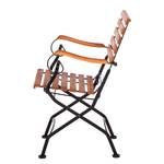 Chaises Schlossgarten I (lot de 2) Lot de 2- Acier plat / Eucalyptus massif