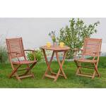 Klapstoelen Cordoba (2-delige set) massief eucalyptushout