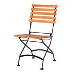 Chaises Schlossgarten II (lot de 2) Acier plat / Eucalyptus massif