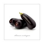 Impression sur toile, aubergine Taille : 20 x 20 cm