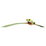 Afbeelding Frogleaf Rood - 160 x 40 x 4.5 cm