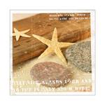 Stampa decorativa Juwelery of the sea II Dimensioni: 30 x 30 cm