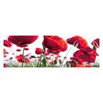 Stampa decorativa Campo di tulipani Rosso - 150 x 50 x 4.5 cm