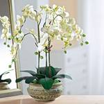 Kunstpflanze Orchideentopf Antik Textil/Keramik - Weiß/Grün