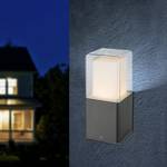 LED-buitenlamp Dalia I glas/aluminium - 1 lichtbron