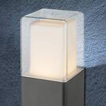 LED-Außenleuchte Dalia I Glas / Aluminium - 1-flammig