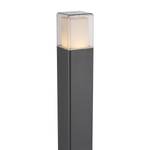 LED-buitenlamp Dalia III glas/aluminium - 1 lichtbron - Hoogte: 110 cm