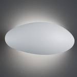 Lampada LED per esterni Missouri 1 luce Alluminio/Materiale sintetico Color argento