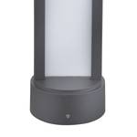 LED-buitenlamp Nexa II kunststof/aluminium - 1 lichtbron - Hoogte: 50 cm
