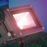 LED-buitenlamp Bray glas/aluminium - 1 lichtbron