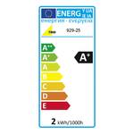 LED-plafondlamp 2x2W