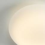 Plafonnier LED Onion Verre / Acier Blanc 1 ampoule
