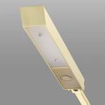 LED-Stehleuchte Aurora Light Acrylglas / Metall - 1-flammig - Messing