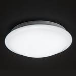 LED-wand-/plafondlamp Equinox metaal wit 1 lichtbron