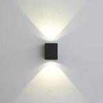 LED-buitenlamp Kanto glas/staal - 2 lichtbronnen - Zwart