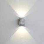 LED-buitenlamp Kanto glas/staal - 2 lichtbronnen - Platina