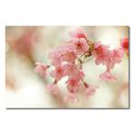 Leinwandbild Cherry Blossoms Leinwand - Beige / Pink