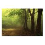 Foto op canvas Green Forest canvas - groen/bruin