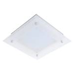 LED-plafondlamp Diamond I glas/staal - 60 lichtbronnen