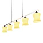 Hanglamp Carina II glas/roestvrij staal - 5 lichtbronnen