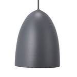 Lampada a sospensione Nexus 20 Metallo/Materiale plastico grigio 1 luce