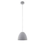 Hanglamp Sarabia staal - 1 lichtbron - Hoogte: 110 cm - Diameter lampenkap: 28 cm