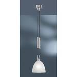 Suspension Savannah 1 ampoule