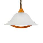 Hanglamp Torbole glas/hout 1 lichtbron