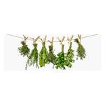 Impression d’art Hanging Vegetable Vert - Blanc - Verre - 80 x 30 x 1.3 cm