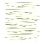 Paneelgordijn Querstreifen (3-delige set) - groen