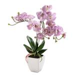 Kunstpflanze Orchidee I Kunststoff / Keramik - Flieder