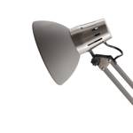 Bureaulamp Rudy ijzer - 1 lichtbron