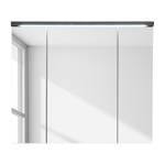 Spiegelkast Wyntoon incl. verlichting) - Donkere olmenhouten look - Breedte: 80 cm