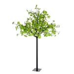 Lampada da terra LED Albero Leuchten Direkt - Ferro/Materiale sintetico Nero 450 luci